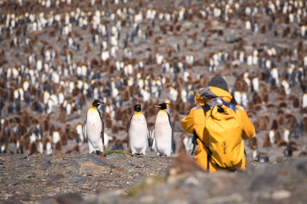 polar's photographer sits in front of penguins