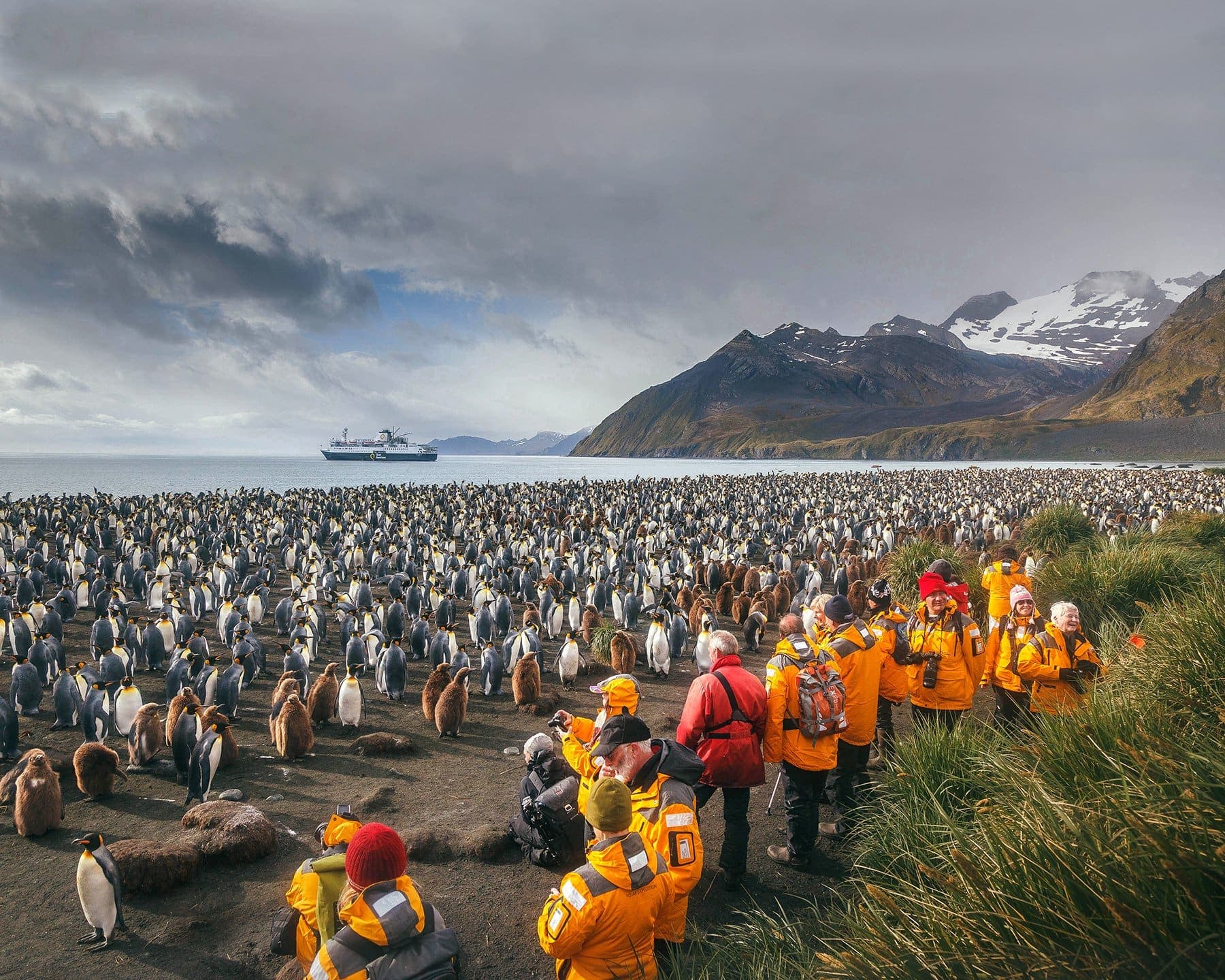 Antarctica cruise to peninsula with penguins