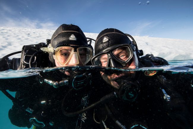 polar diving pair