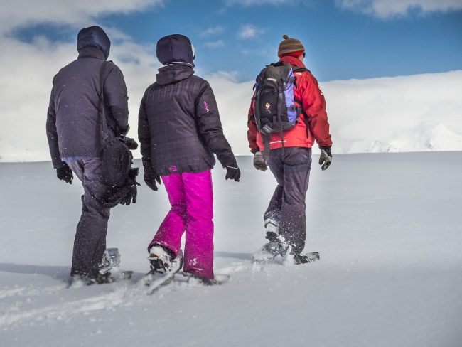 polar snowshoeing