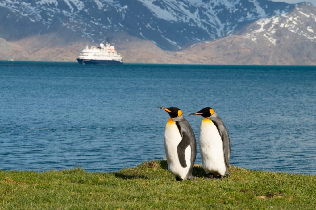 best polar cruises