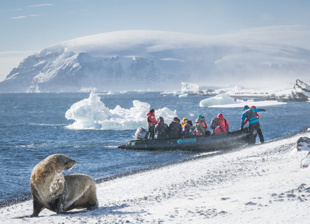 Join polar holidays for oceanwide expeditions for a quality discovery expedition cruise to anatrctica in november