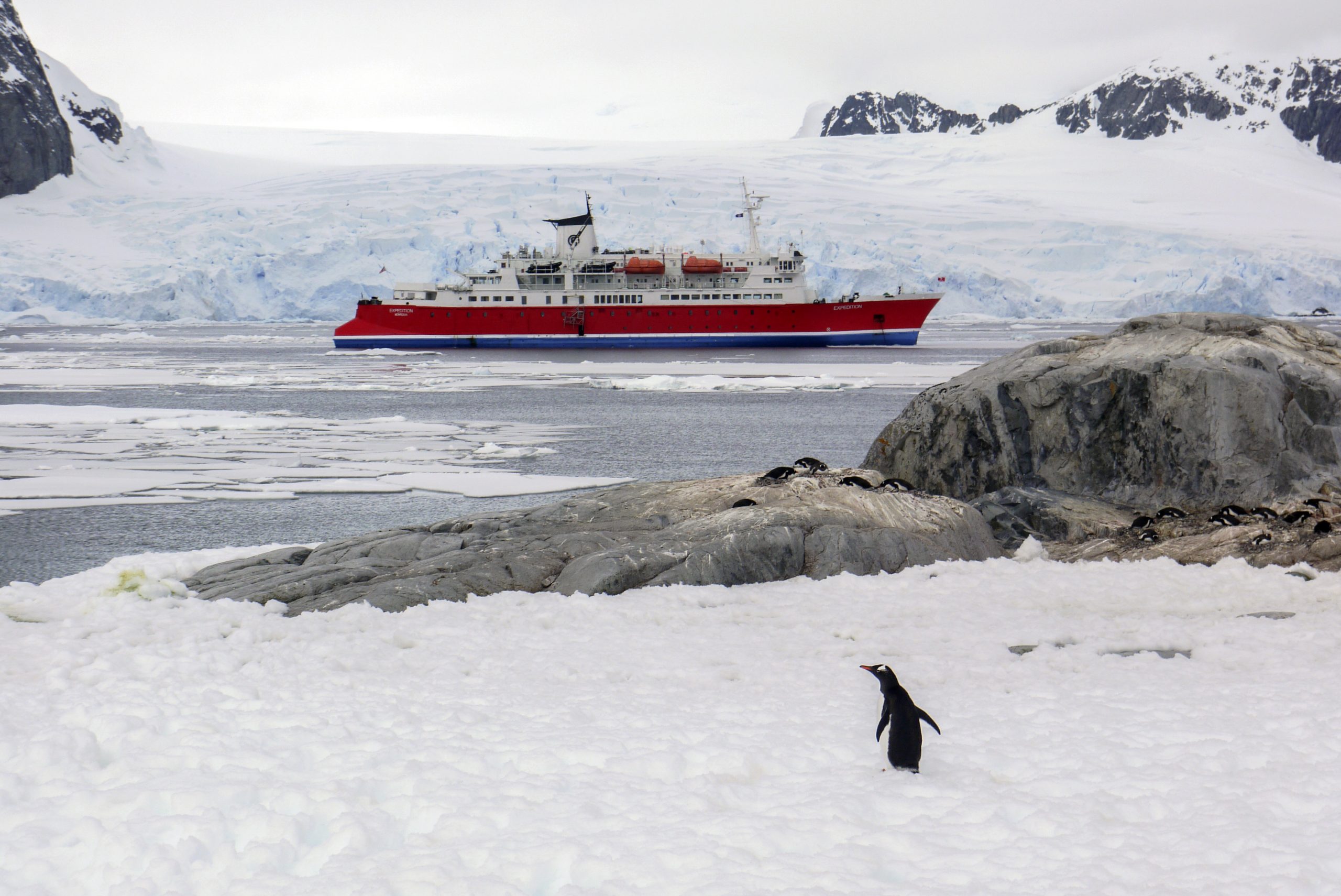 Antarctica Petermann Island MS Expedition