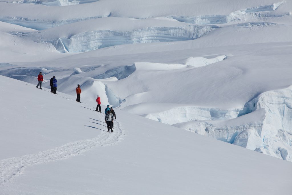 enjoy the Snowshoeing in polar regions