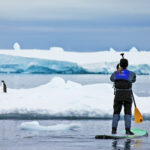 Paddleboarder in Antarctica spots a penguin