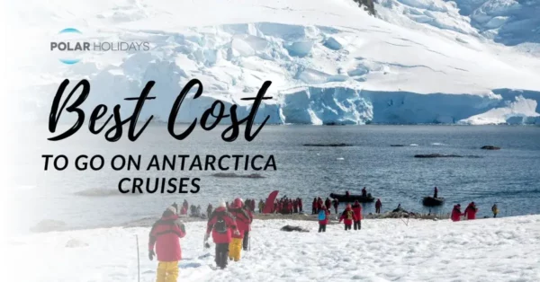 best cost to go to antarctica on cruises